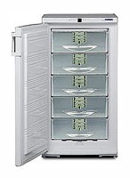 Liebherr GSP 2226 Refrigerator larawan, katangian