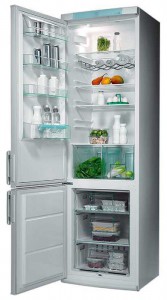 Electrolux ERB 4045 W Refrigerator larawan, katangian