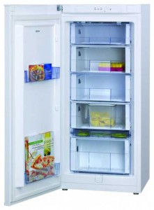 Hansa FZ220BSW Холодильник фото, Характеристики