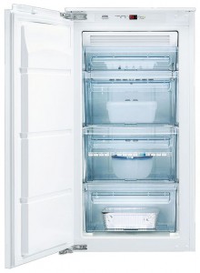 AEG AN 91050 4I Refrigerator larawan, katangian