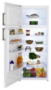 BEKO DS 145100 Refrigerator larawan, katangian