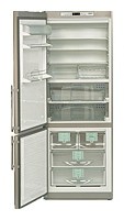 Liebherr KGBNes 5056 Refrigerator larawan, katangian