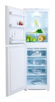 NORD 229-7-310 Refrigerator larawan, katangian