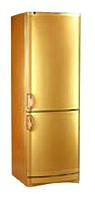 Vestfrost BKF 405 B40 Gold Холодильник Фото, характеристики