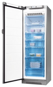 Electrolux EUF 29405 X Холодильник Фото, характеристики