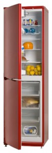 ATLANT ХМ 6025-130 Холодильник Фото, характеристики