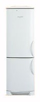 Electrolux ENB 3669 Buzdolabı fotoğraf, özellikleri