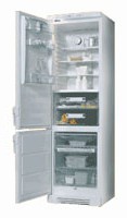 Electrolux ERZ 3600 Buzdolabı fotoğraf, özellikleri