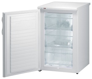 Gorenje F 3090 AW Холодильник Фото, характеристики