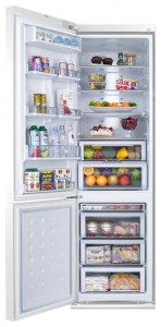 Samsung RL-55 TTE1L Refrigerator larawan, katangian
