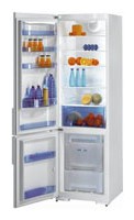 Gorenje RK 63393 W Refrigerator larawan, katangian