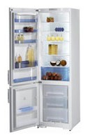 Gorenje RK 61390 W Refrigerator larawan, katangian