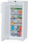 Liebherr GN 2156 Tủ lạnh \ đặc điểm, ảnh