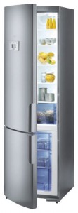 Gorenje NRK 63371 DE Refrigerator larawan, katangian