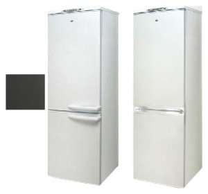Exqvisit 291-1-810,831 Холодильник Фото, характеристики
