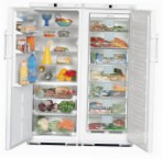 Liebherr SBS 6102 Холодильник \ Характеристики, фото