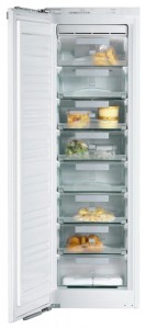 Miele FN 9752 I Холодильник Фото, характеристики
