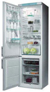 Electrolux ERB 9043 Refrigerator larawan, katangian