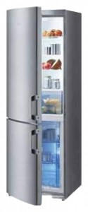 Gorenje RK 60355 DE Refrigerator larawan, katangian