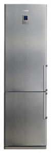 Samsung RL-41 ECIS Refrigerator larawan, katangian