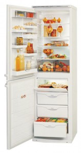 ATLANT МХМ 1805-00 Холодильник Фото, характеристики