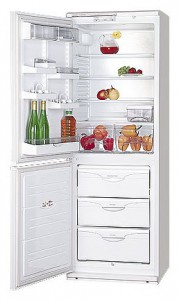 ATLANT МХМ 1809-14 Refrigerator larawan, katangian
