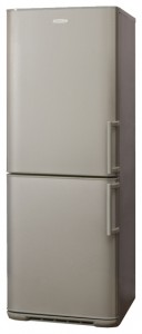 Бирюса M133 KLA Refrigerator larawan, katangian