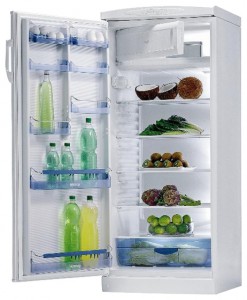 Gorenje RB 6288 W Refrigerator larawan, katangian