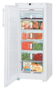 Liebherr GN 2313 Refrigerator larawan, katangian