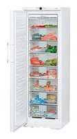 Liebherr GN 3066 Холодильник фото, Характеристики