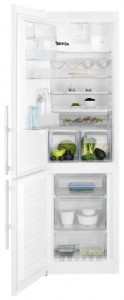 Electrolux EN 93852 JW Refrigerator larawan, katangian
