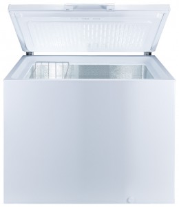 Freggia LC21 Tủ lạnh ảnh, đặc điểm