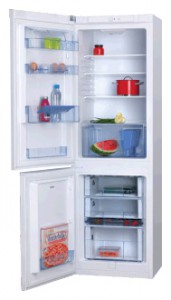 Hansa FK310BSW Refrigerator larawan, katangian