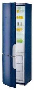 Gorenje RK 62391 B Refrigerator larawan, katangian