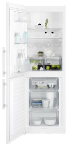 Electrolux EN 3201 MOW Холодильник фото, Характеристики