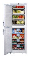 Liebherr BGNDes 2986 Холодильник фото, Характеристики