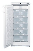 Liebherr GSN 2423 Refrigerator larawan, katangian