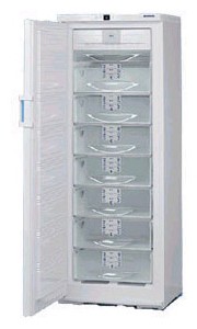 Liebherr GSNDes 3323 Refrigerator larawan, katangian