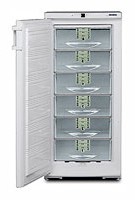 Liebherr GSP 2726 Холодильник Фото, характеристики