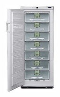 Liebherr GSP 3126 Refrigerator larawan, katangian
