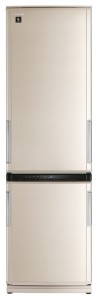 Sharp SJ-WM371TB Kühlschrank Foto, Charakteristik