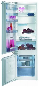 Gorenje RKI 55295 Tủ lạnh ảnh, đặc điểm