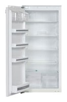 Kuppersbusch IKE 248-6 Buzdolabı fotoğraf, özellikleri