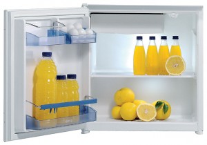 Gorenje RBI 4098 W Холодильник фото, Характеристики