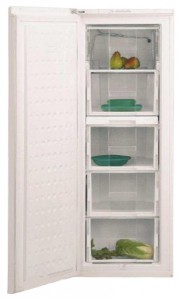 BEKO FSE 21920 Refrigerator larawan, katangian
