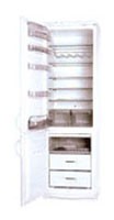 Snaige RF390-1763A Холодильник фото, Характеристики