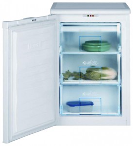 BEKO FNE 1070 Refrigerator larawan, katangian