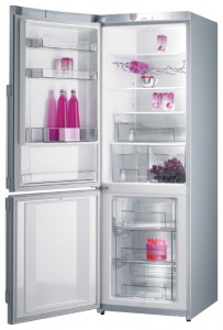 Gorenje NRK 65 SYA Refrigerator larawan, katangian