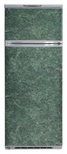 Exqvisit 233-1-C9/1 Refrigerator larawan, katangian