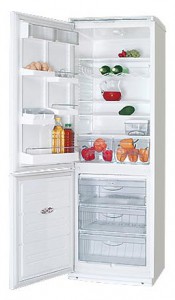 ATLANT ХМ 6019-001 Холодильник фото, Характеристики